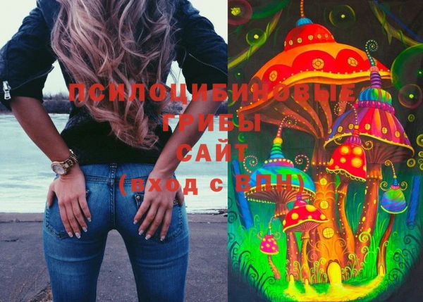 Альфа ПВП Бугульма