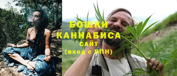 крисы Бронницы