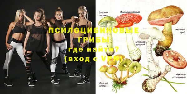 бутик Бородино